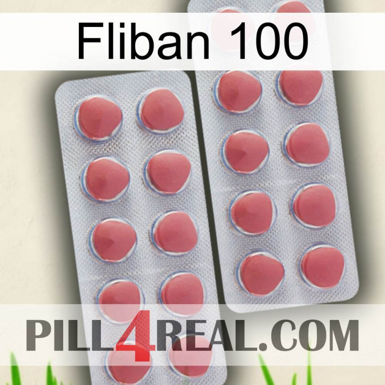 Fliban 100 19